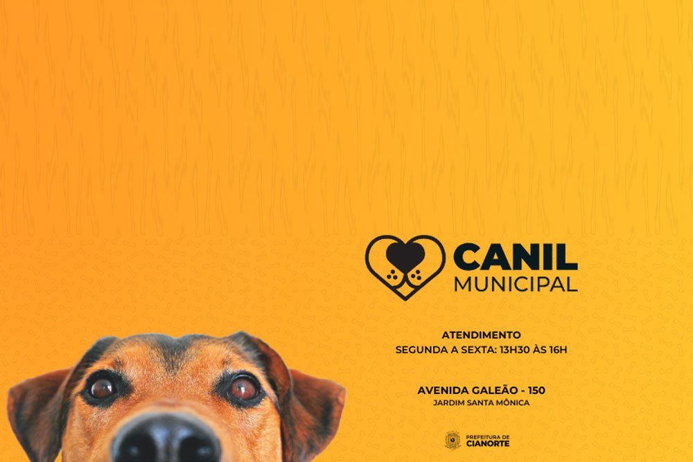 capa-canil-cianorte